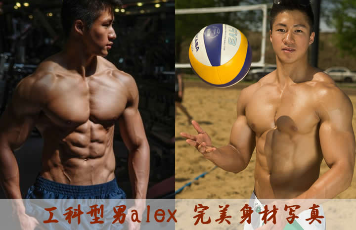 工科型男alex肌肉图