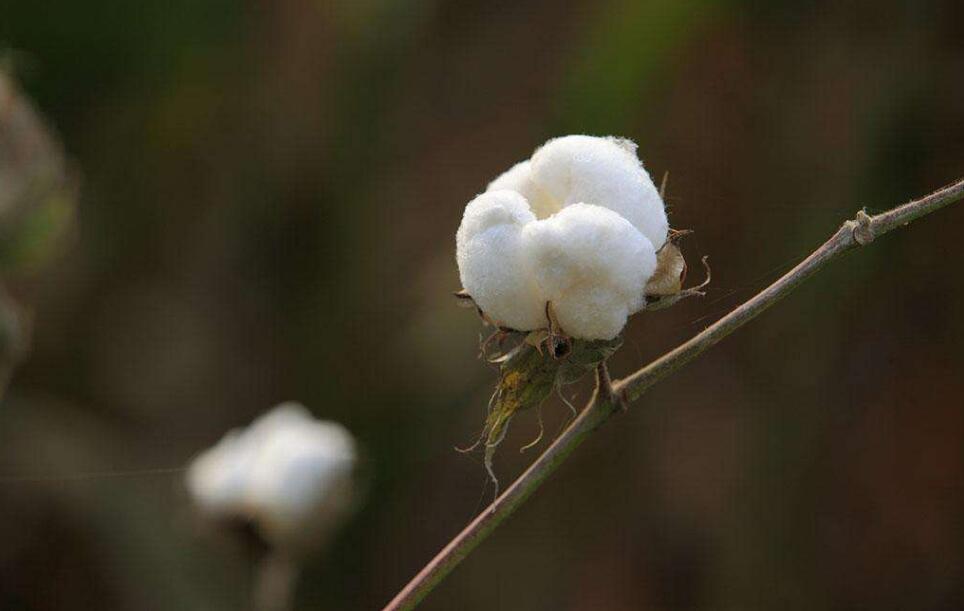 éæ£èµ°å¿æ¿å¨äººå¿ æ£è±æ¶¨å¿æ¥äºï¼